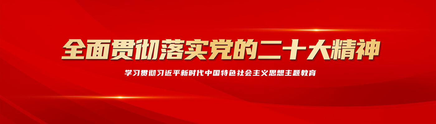 全面贯彻落实党的二十大精神